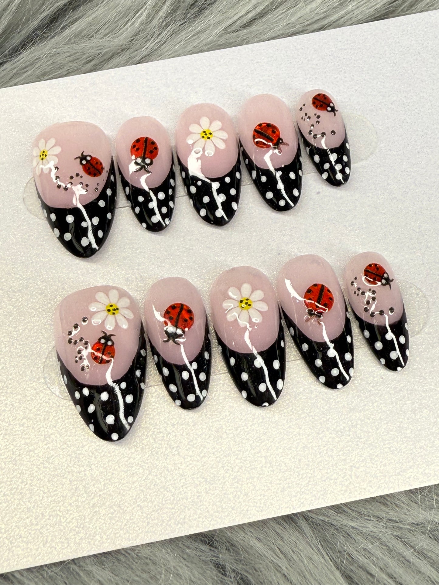Polka Dot Lady Bug